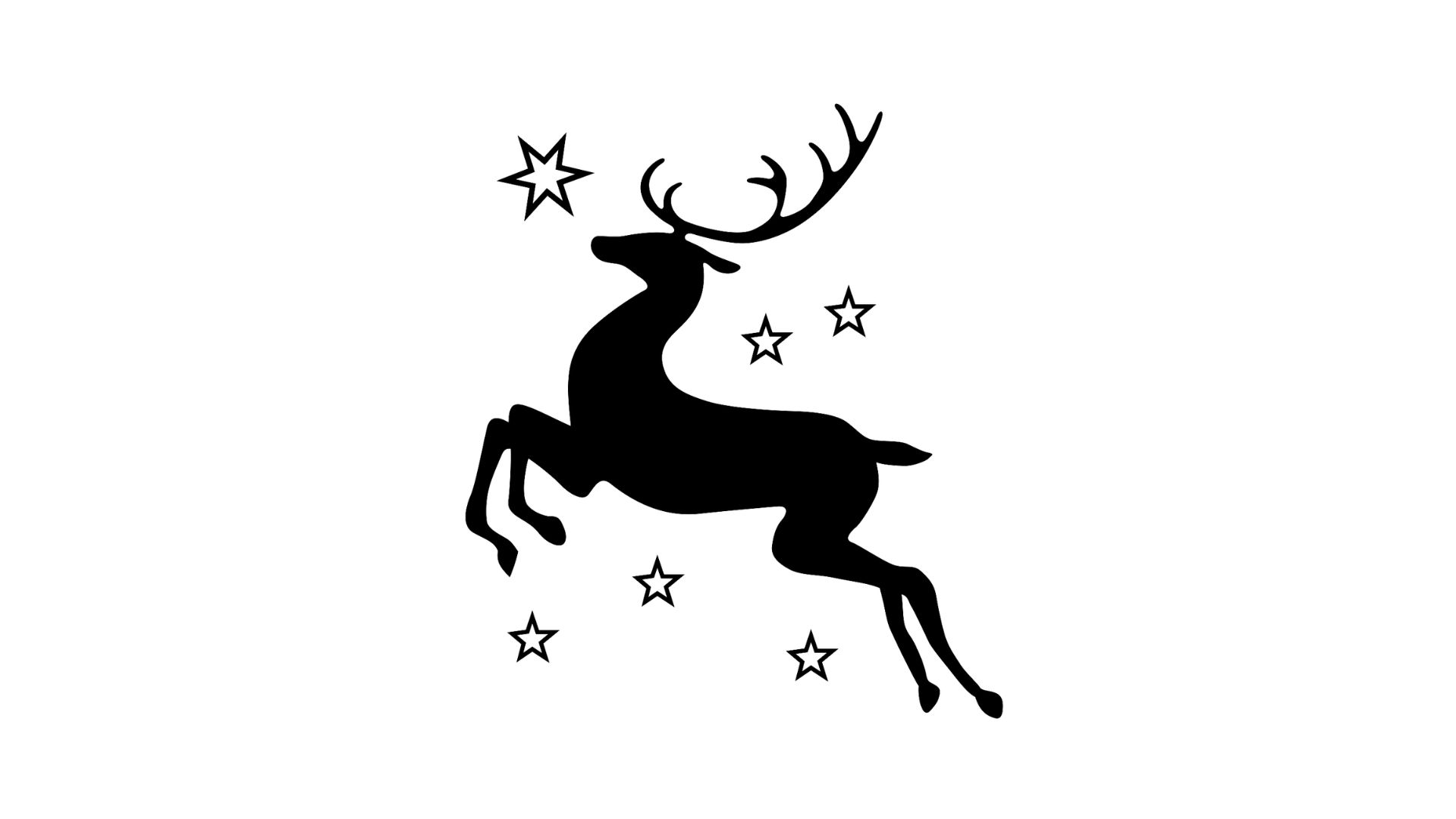 MOTIV - DEER MOTIV - DEER