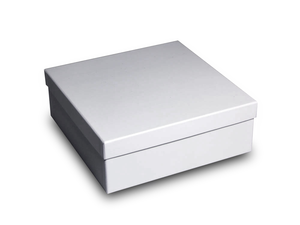 Cajas con tapa: el embalaje perfecto para startups Cajas con tapa: el embalaje perfecto para startups