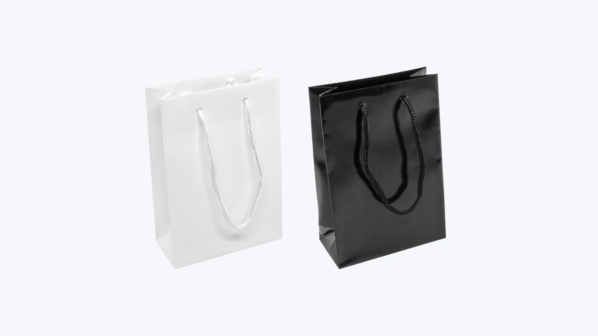 Nuestras bolsas de transporteen stock